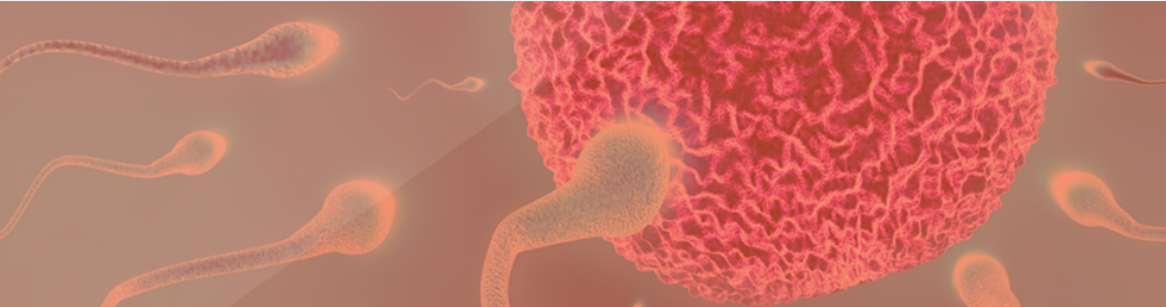 Harmonal Manipulation